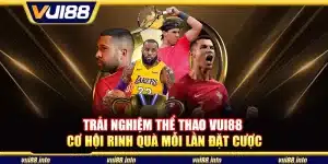 Trải nghiệm thể thao Vui88 - Cơ hội rinh quà mỗi lần đặt cược