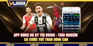 App bóng đá uy tín Vui88 - Trải nghiệm cá cược thể thao đỉnh cao
