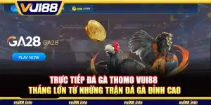 Trực tiếp đá gà Thomo Vui88 - Thắng lớn từ những trận đá gà đỉnh cao