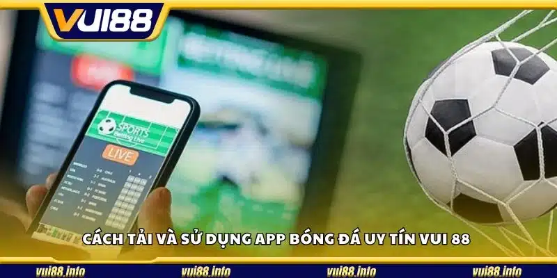 Cách tải và sử dụng app bóng đá uy tín Vui 88