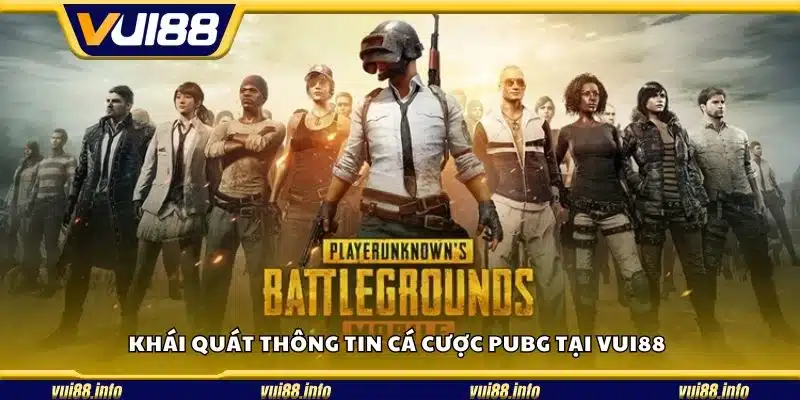 Khái quát thông tin cá cược PUBG tại Vui88