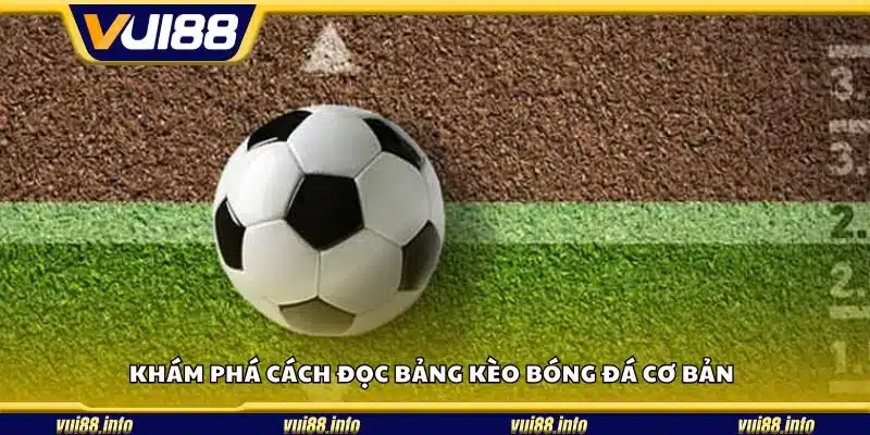 Khám phá cách đọc bảng kèo bóng đá cơ bản