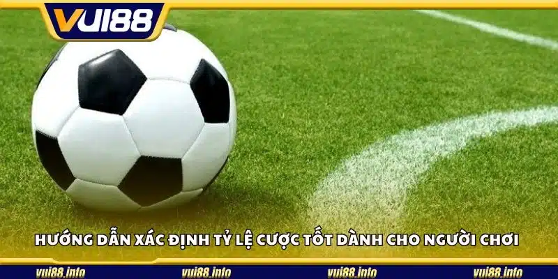 Hướng dẫn xác định tỷ lệ cược tốt dành cho người chơi