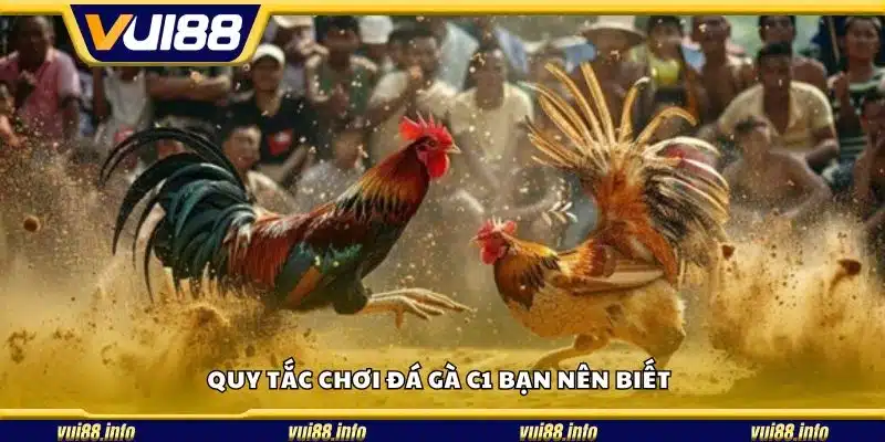 Quy tắc chơi đá gà C1 bạn nên biết