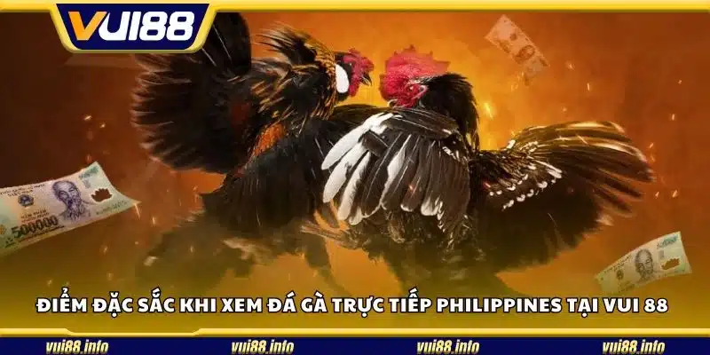 Điểm đặc sắc khi xem đá gà trực tiếp Philippines tại Vui 88