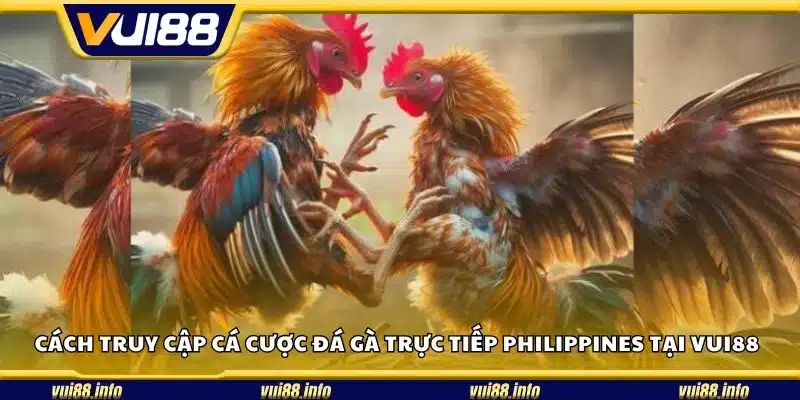 Cách truy cập cá cược đá gà trực tiếp Philippines tại Vui88