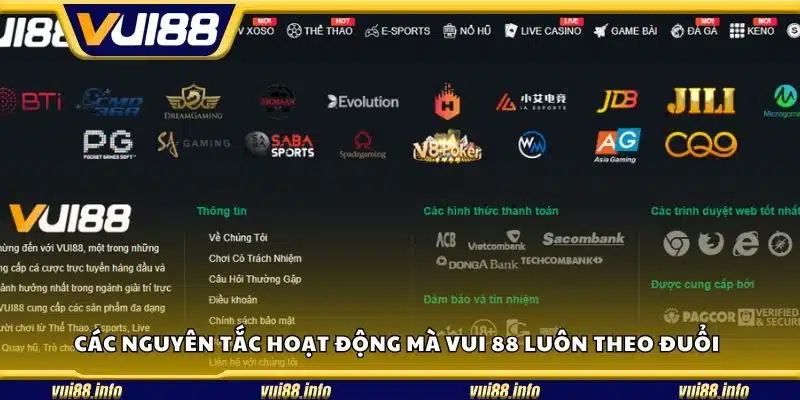 Các nguyên tắc hoạt động mà Vui 88 luôn theo đuổi