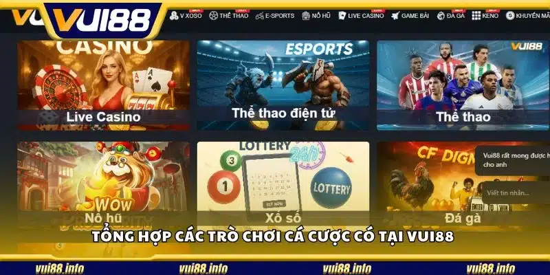Tổng hợp các trò chơi cá cược có tại Vui88